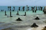 PICTURES/Fort Jefferson & Dry Tortugas National Park/t_Coal Dock Ruins3.JPG
